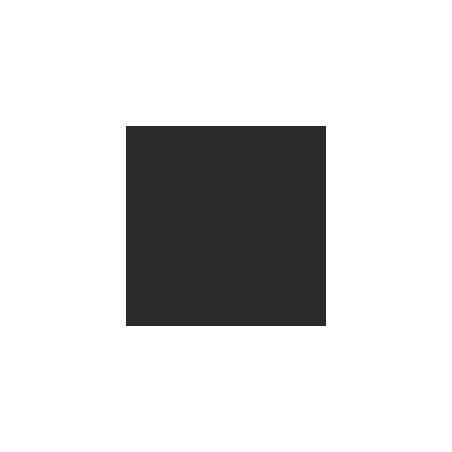 Cochecito de bebé Carrello Atom S CRL-5526 Storm Black