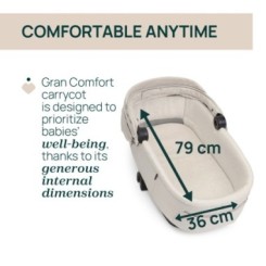 Capazo Gran Comfort Amber Glow 2