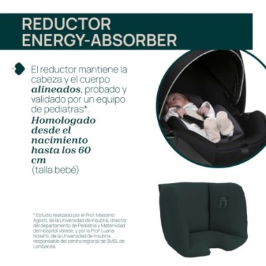 KORY PLUS 2025 FIR TREE | Chicco Oficial