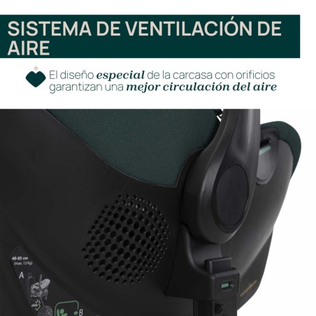 KORY PLUS 2025 FIR TREE | Chicco Oficial