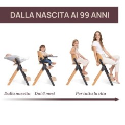 Silla evolutiva Meraviglia Ébano 2