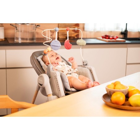 Activity Center Rainbow Chicco