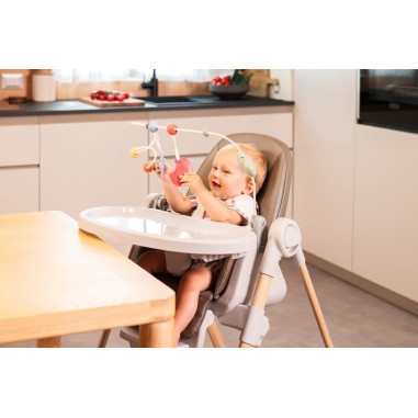 Activity Center Rainbow Chicco